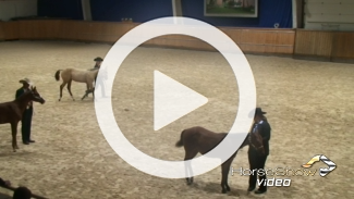 Play video